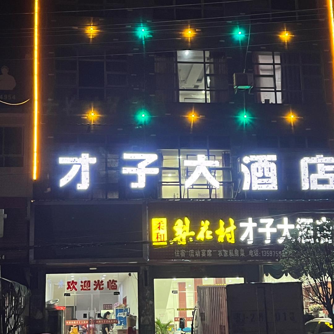 才子大酒店