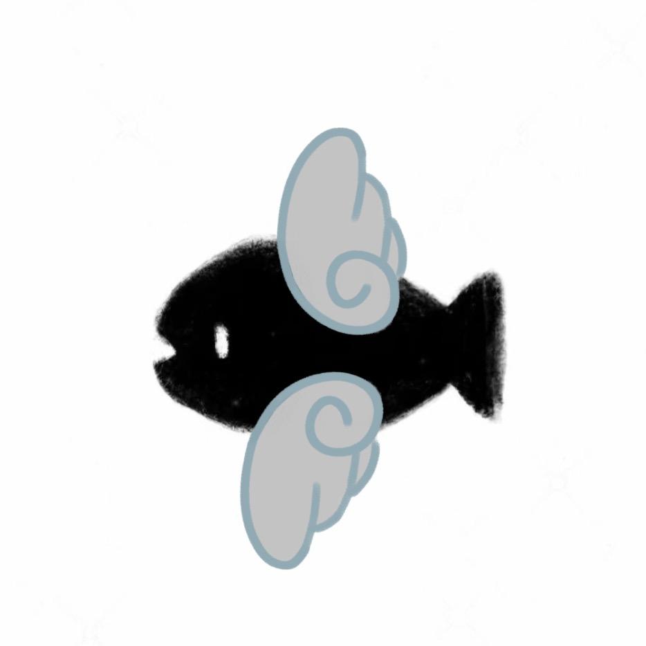 会飞的鱼🐟
