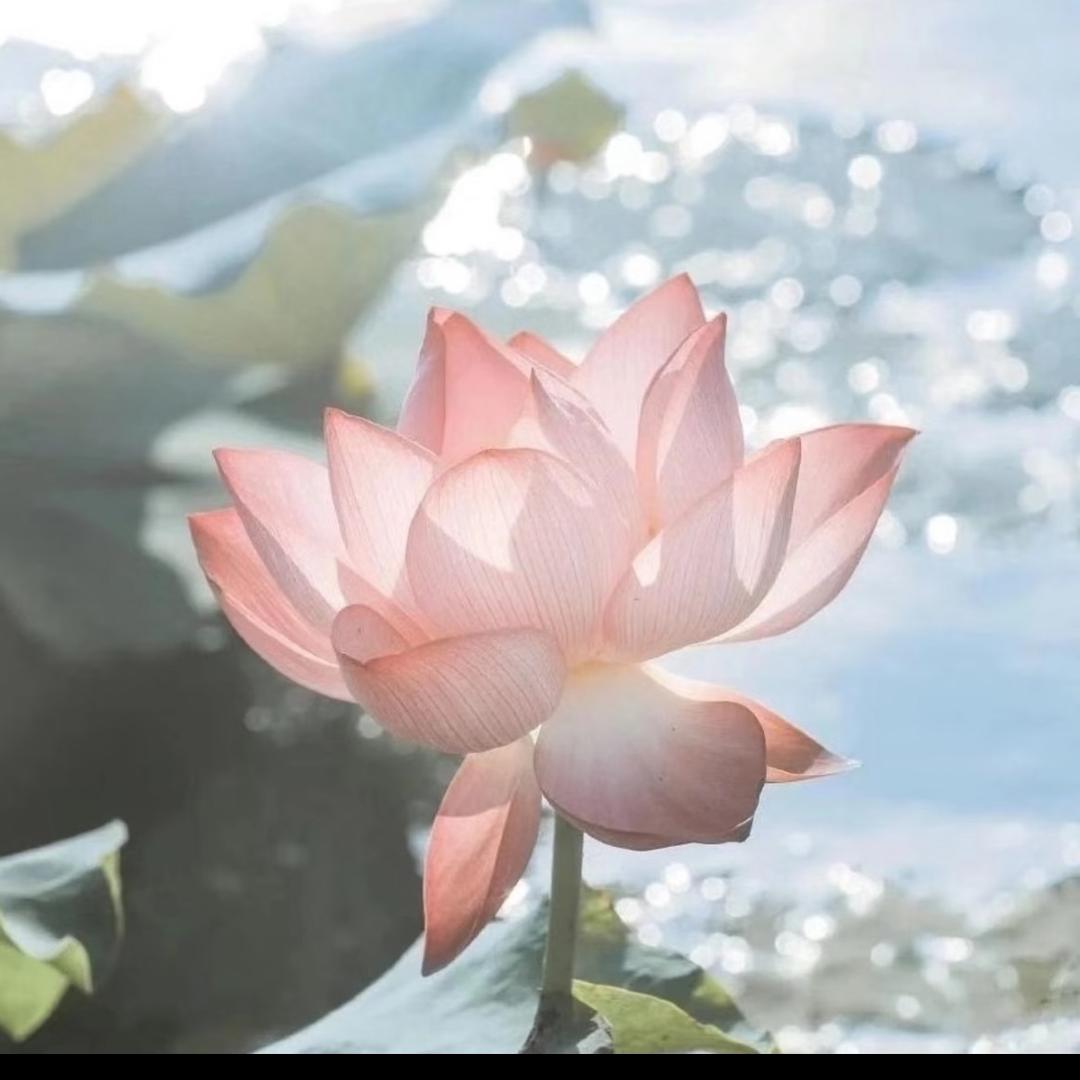 永川培优-圈圈老师