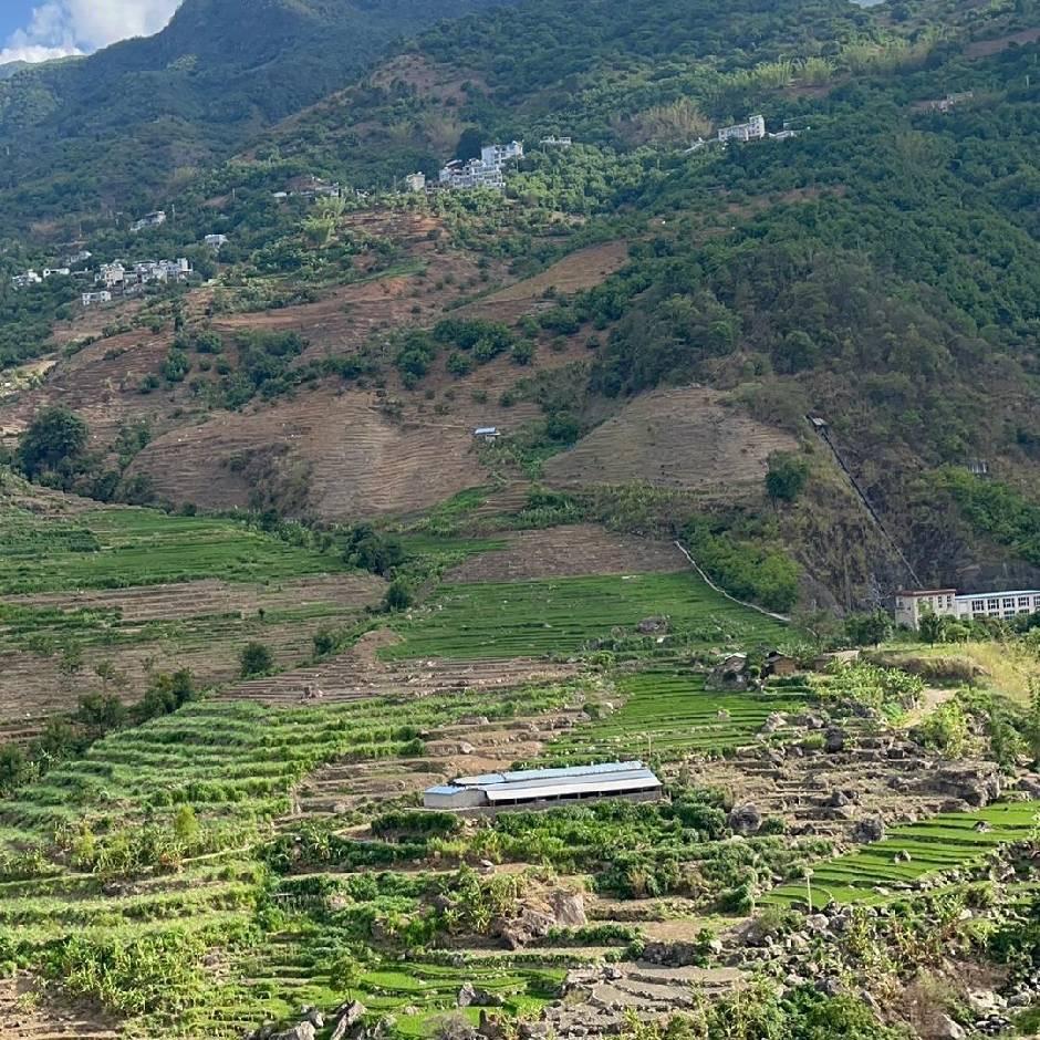 缅越边境山货