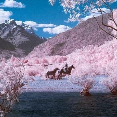 平生一顾