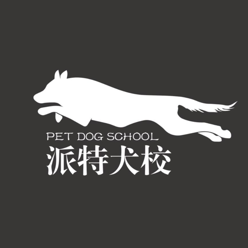 派特犬校