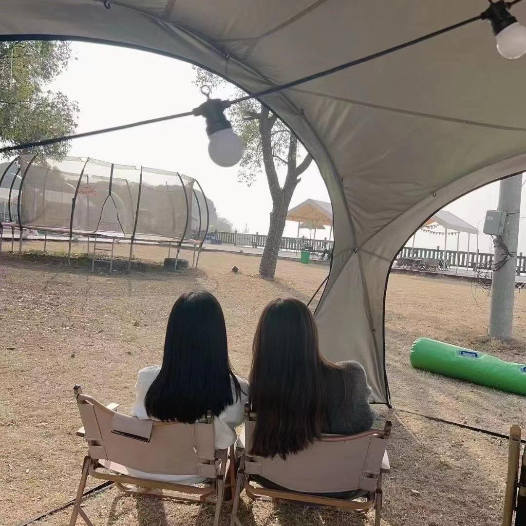杨