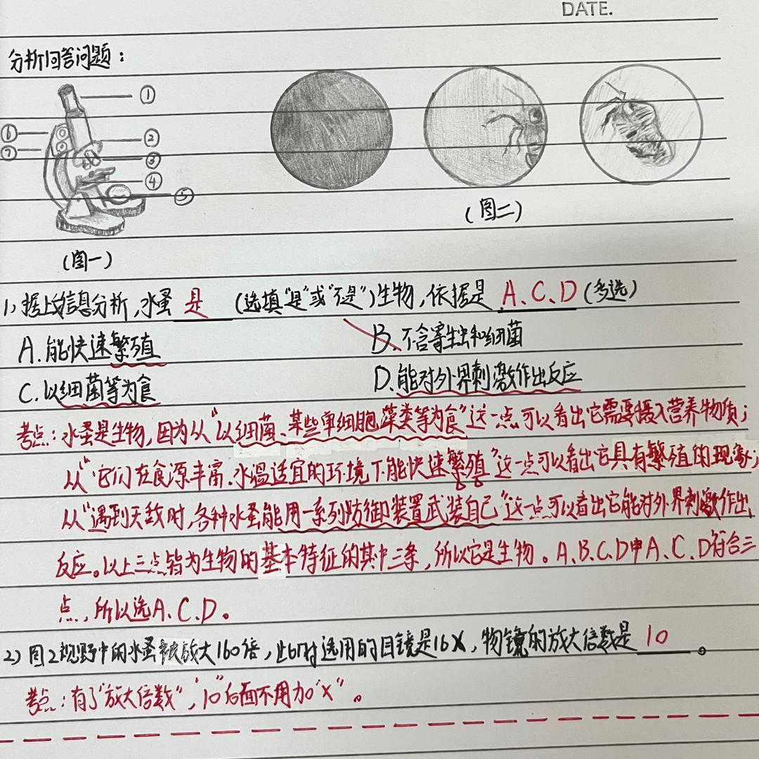 小淼老师的考编者联盟