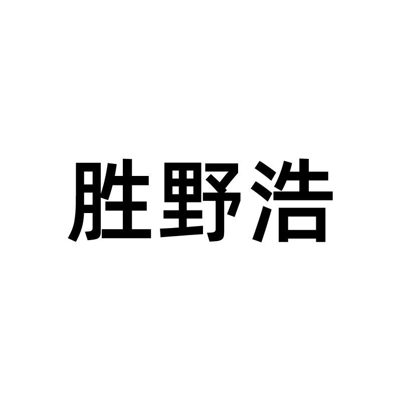 胜野浩企业店