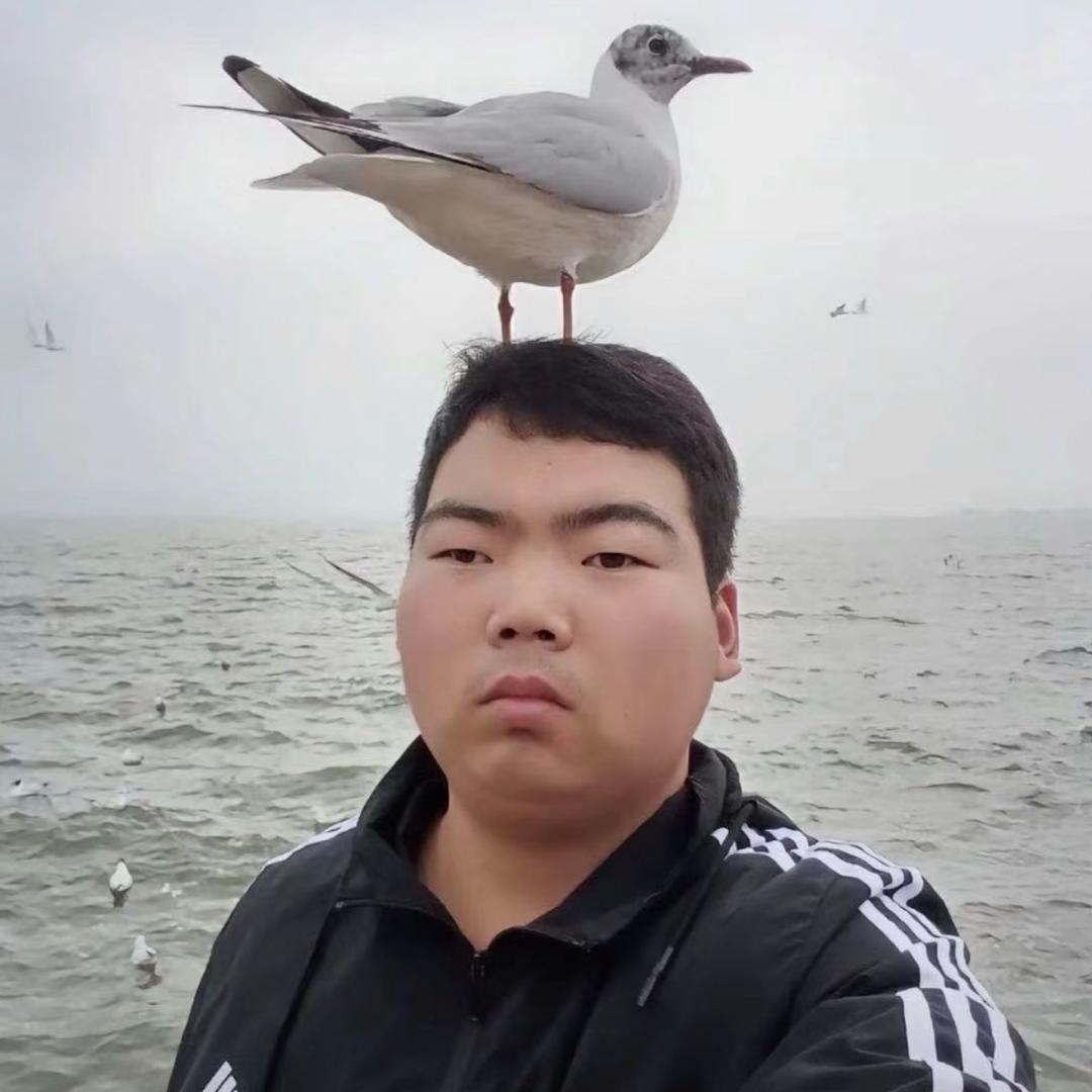 赴汤蹈火鸡面