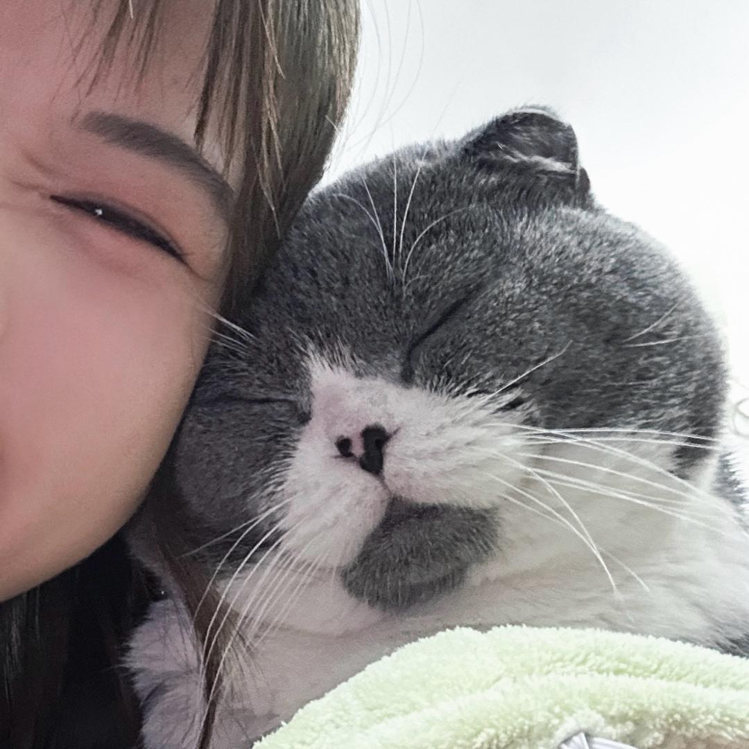 豆豆儿