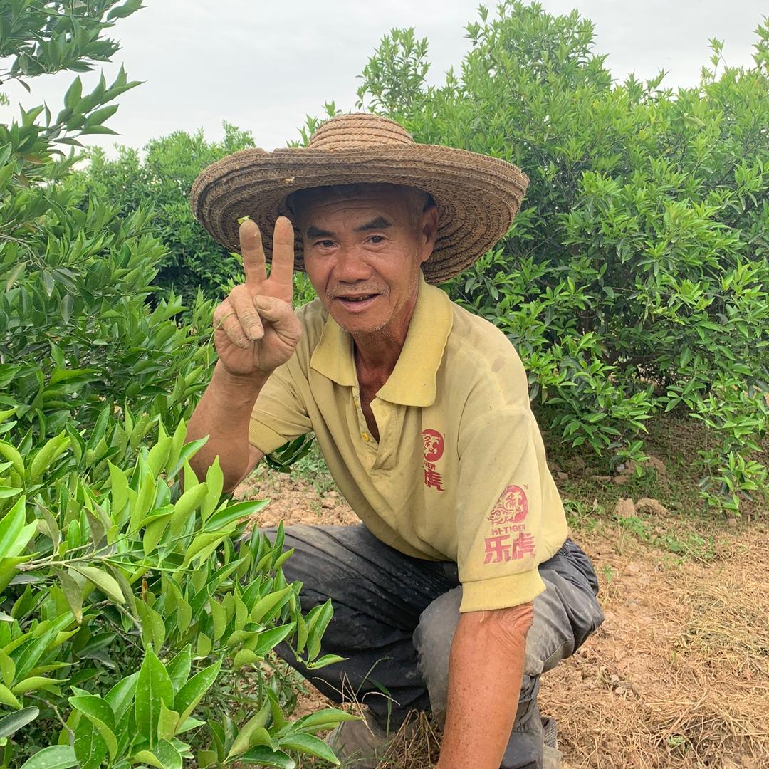 陈皮之家—鑫沁堂