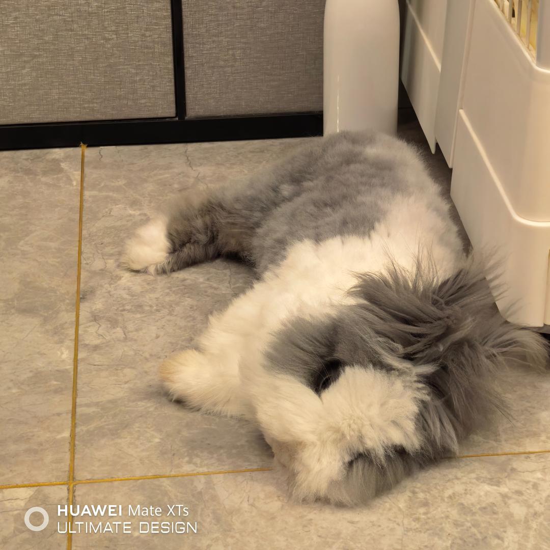 小熊维尼