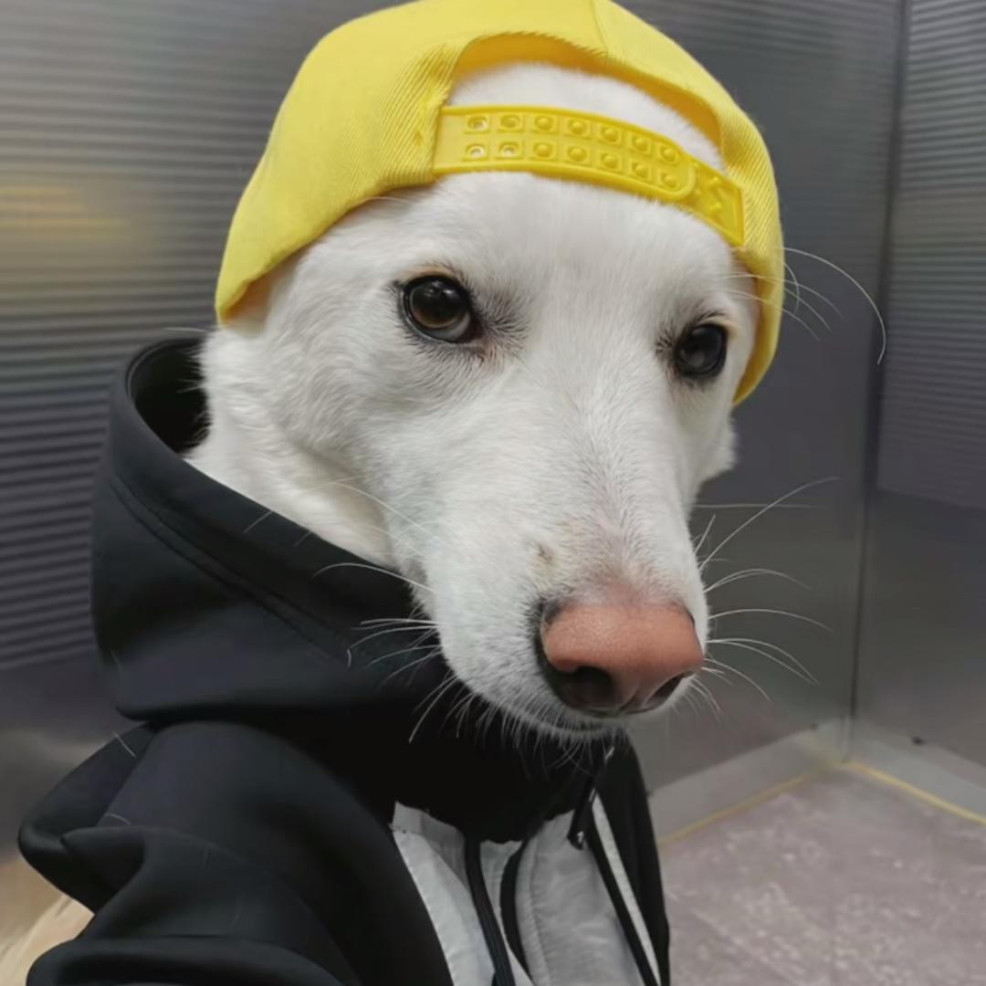 西安北郊天才二房东