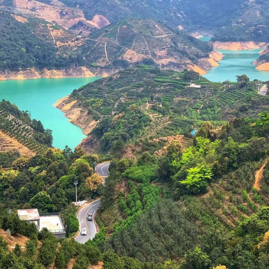 潮茗汇生态茶叶批发30年专业炭焙