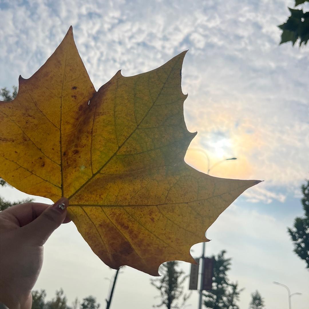 小李不讲道理😘