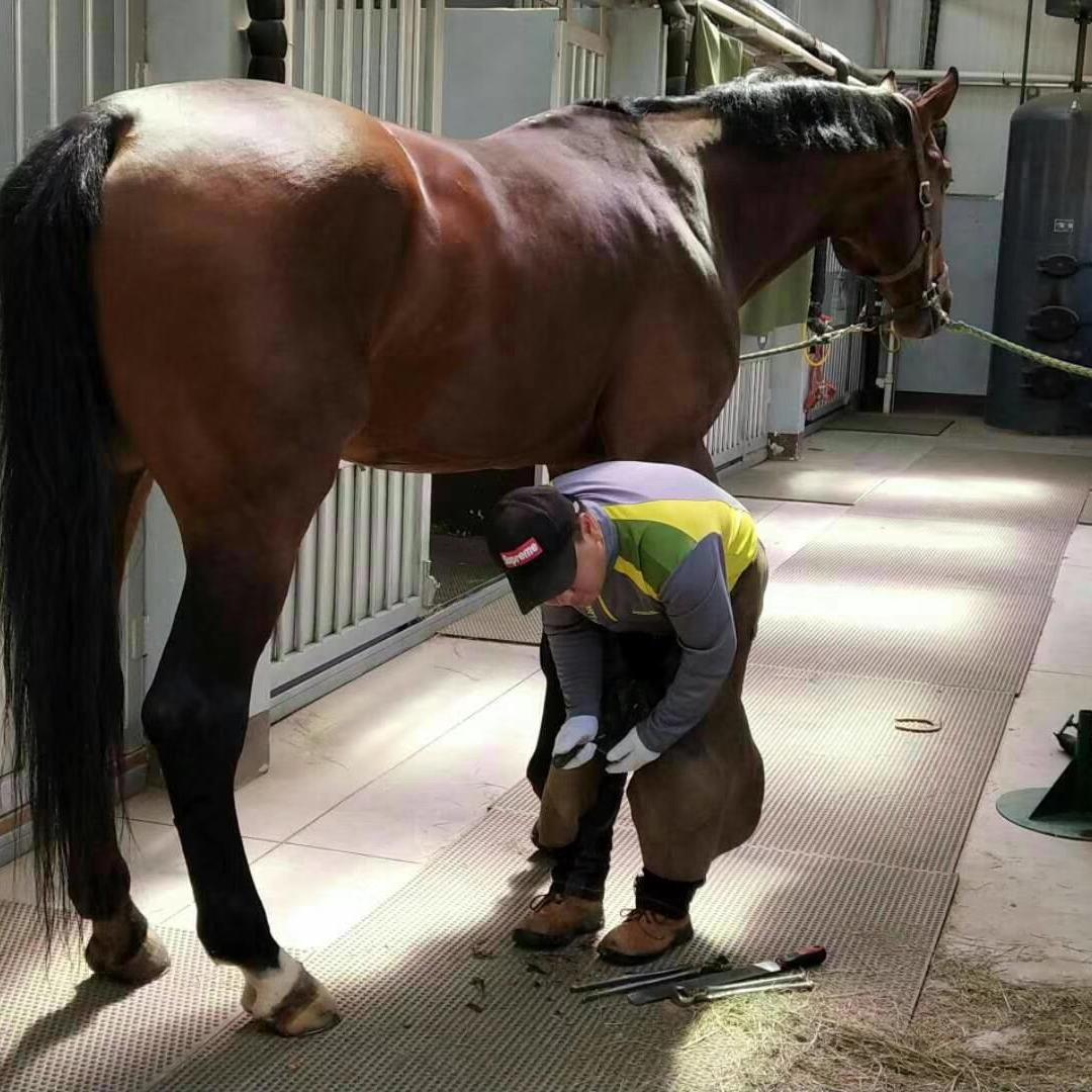 钉蹄刘杰