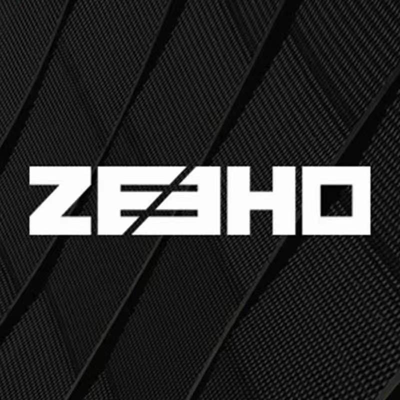 阿贺说车（ZEEHO极核尉氏）