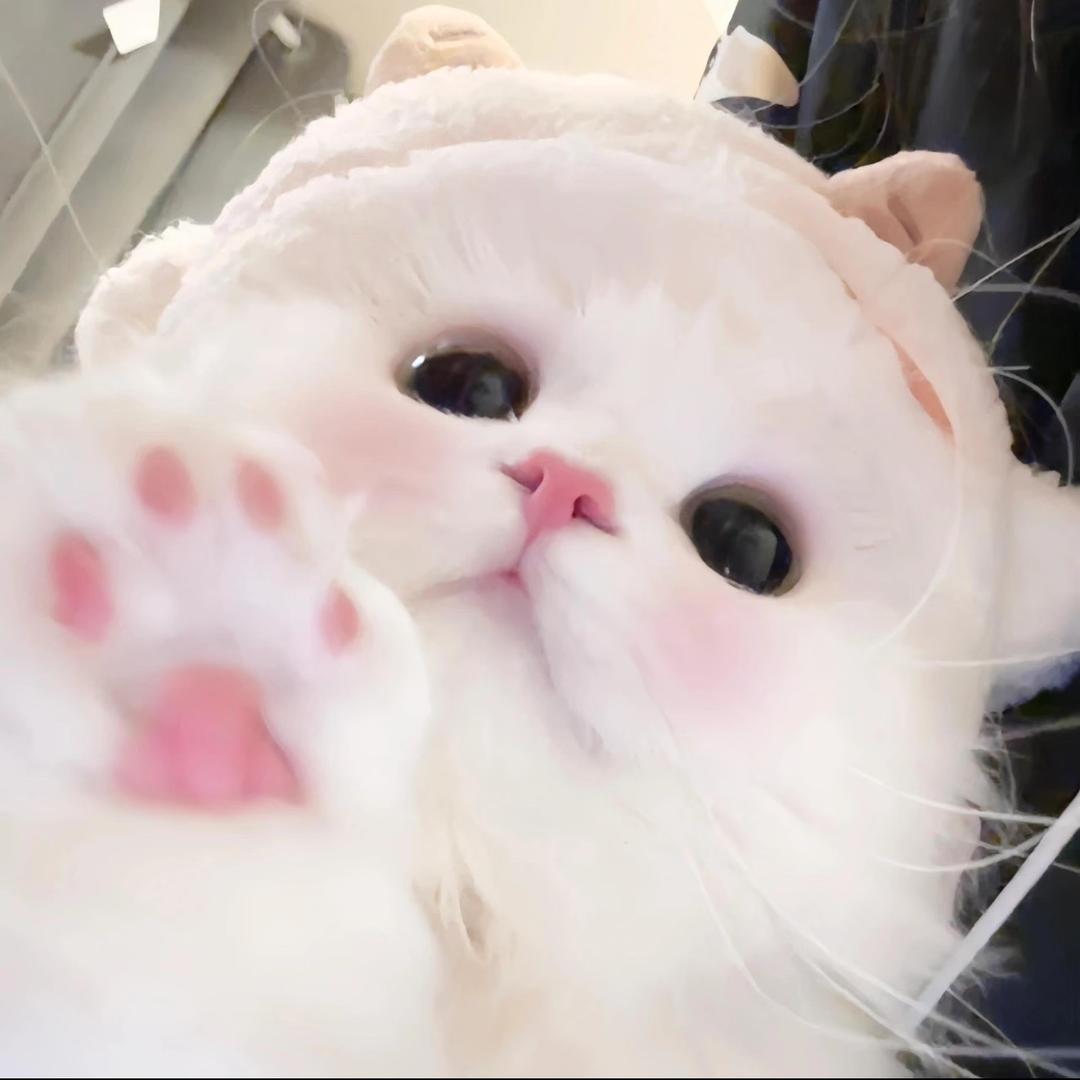 睡不饱