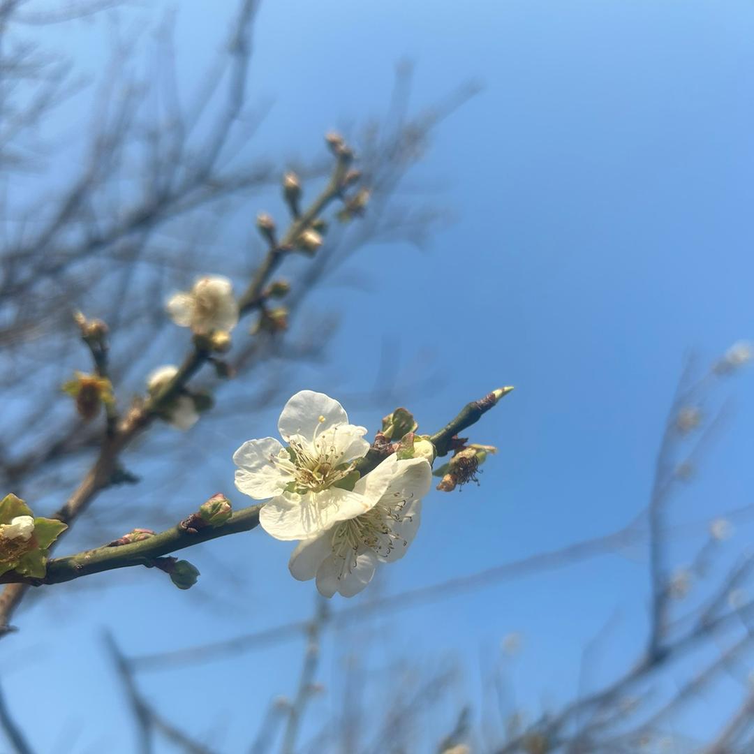 爩蠿龘羃C