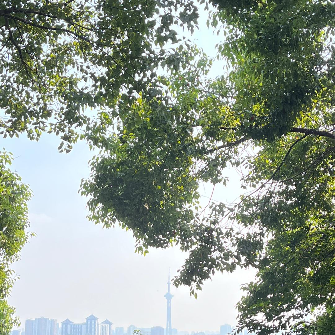 美好明天