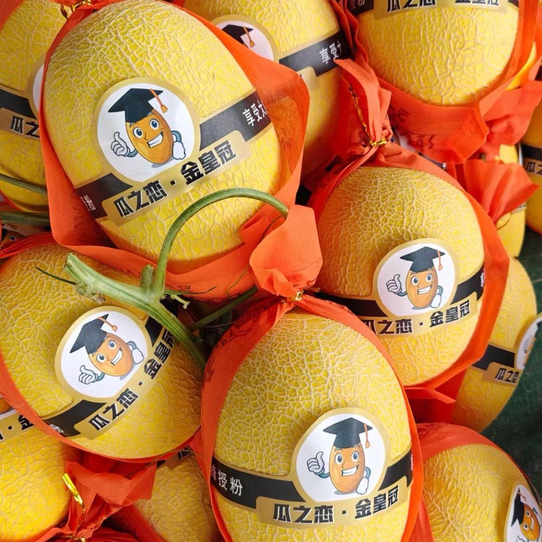 贺州市场西瓜 哈密瓜  荣仔