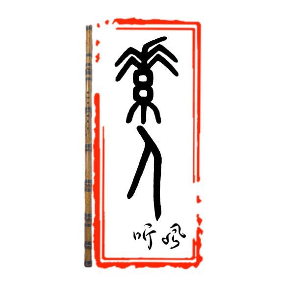 素人听风