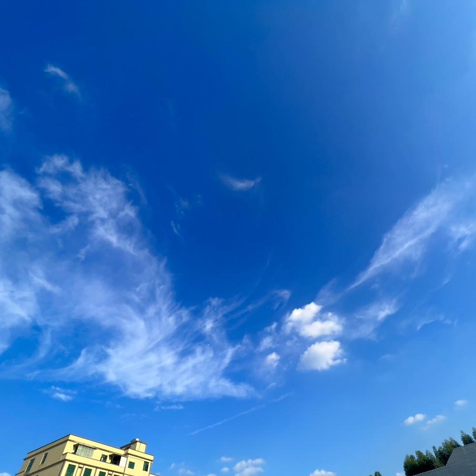 虎小锦_万里挑一