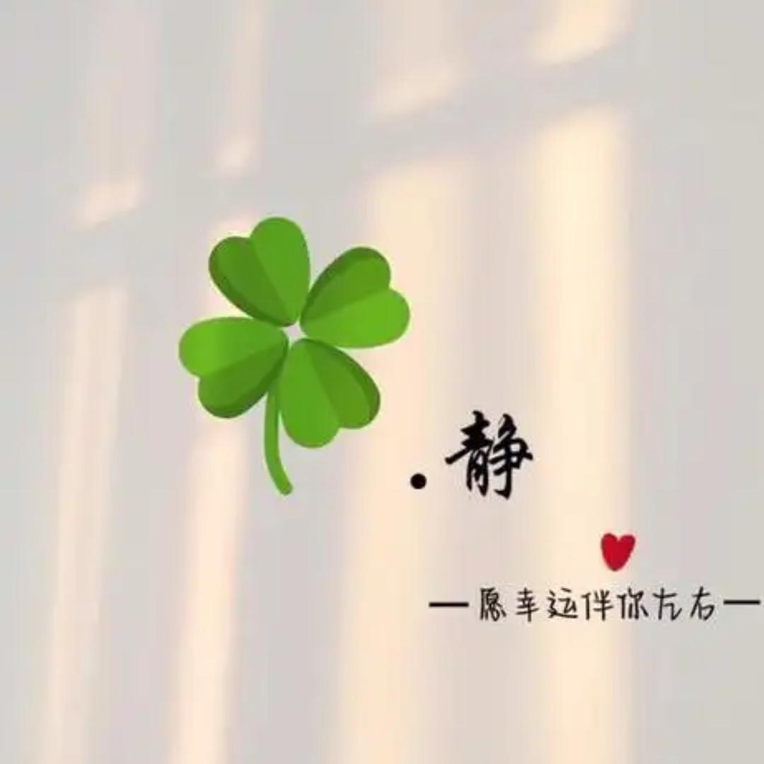 人间清醒Q