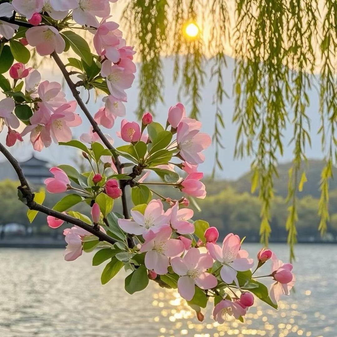 ღ♛平安🍒喜樂᭄💞