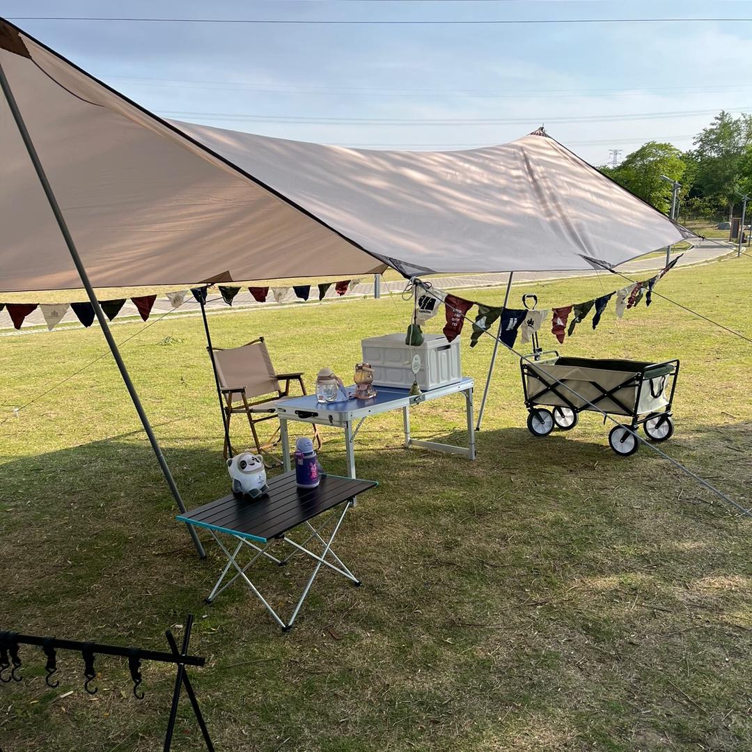 漫行⛺️园野