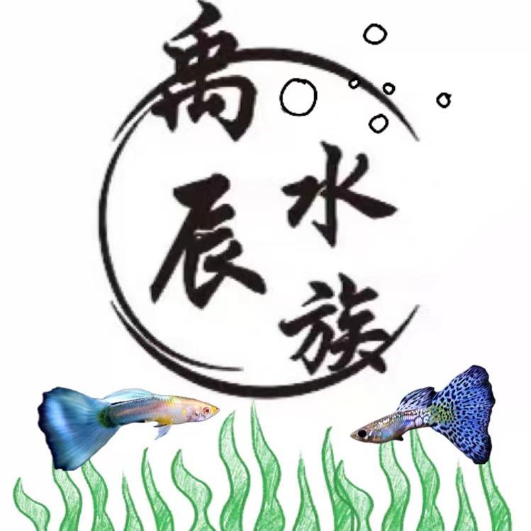 禹辰水族
