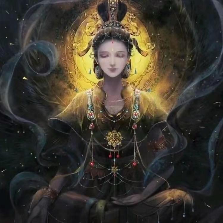 尘缘☯️