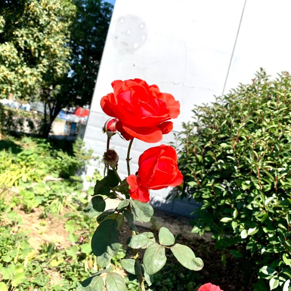 万水千山始于足下