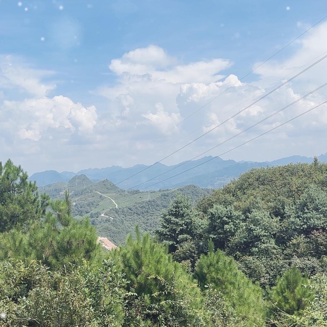 阿福说养生