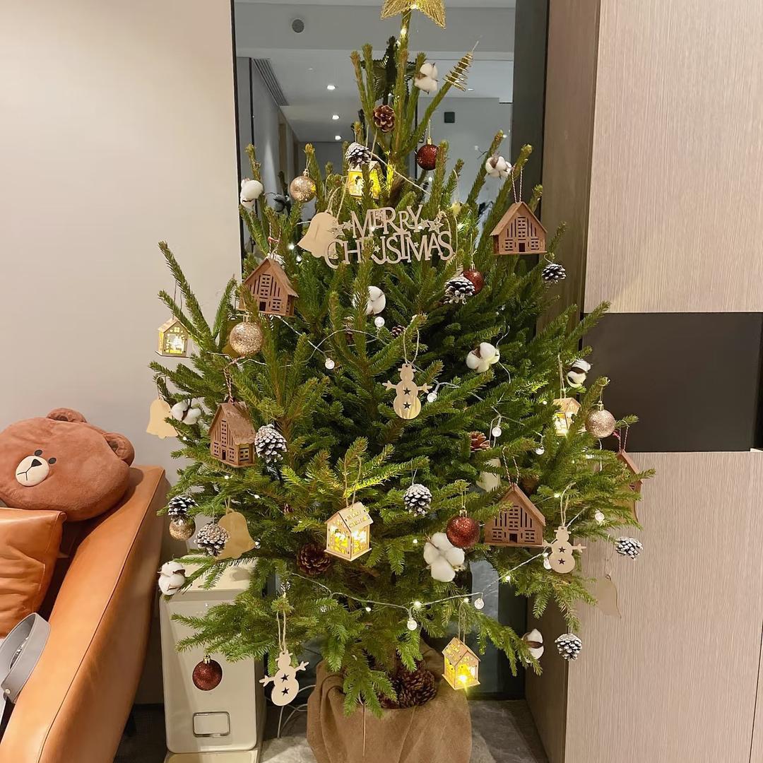 冰茜林翠果树苗