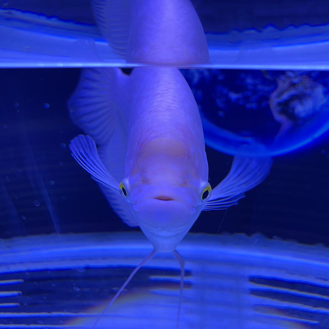 ঞ  㞮孞🐎⁵²º࿐้