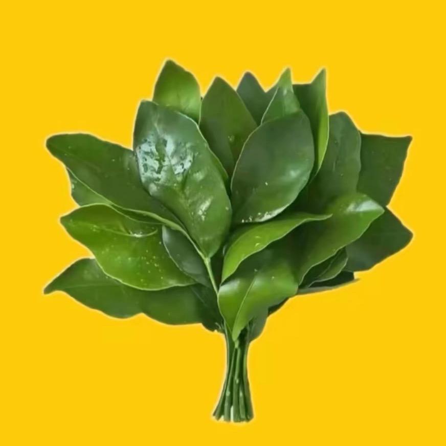李狠狠