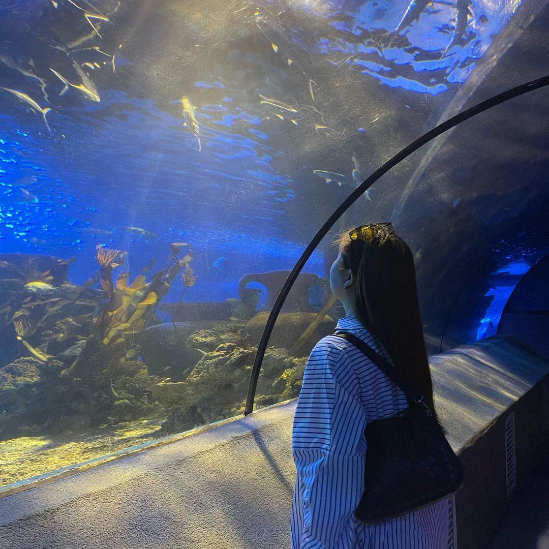 ᨳᤢ້໌ᮩᤣtrgl🎡