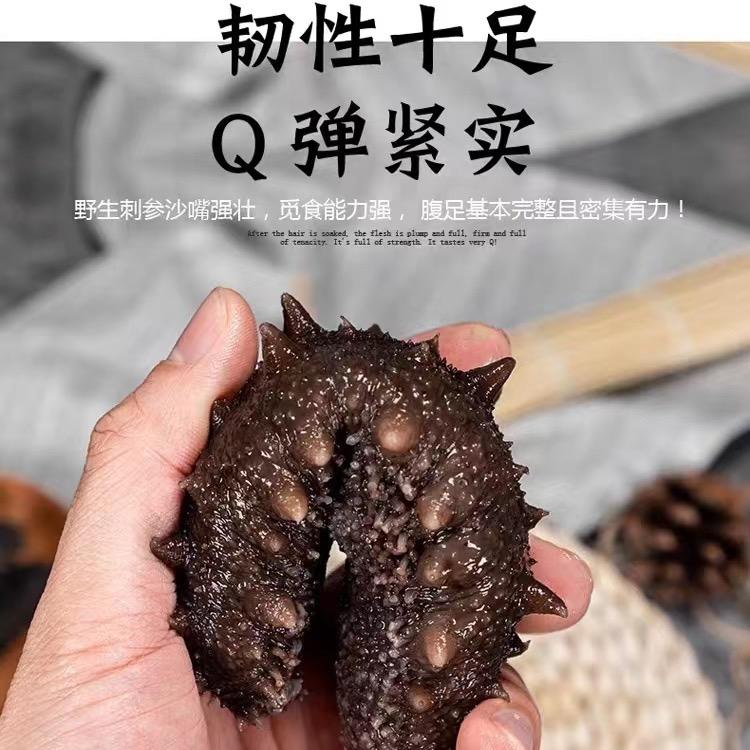 军哥海参工厂批发