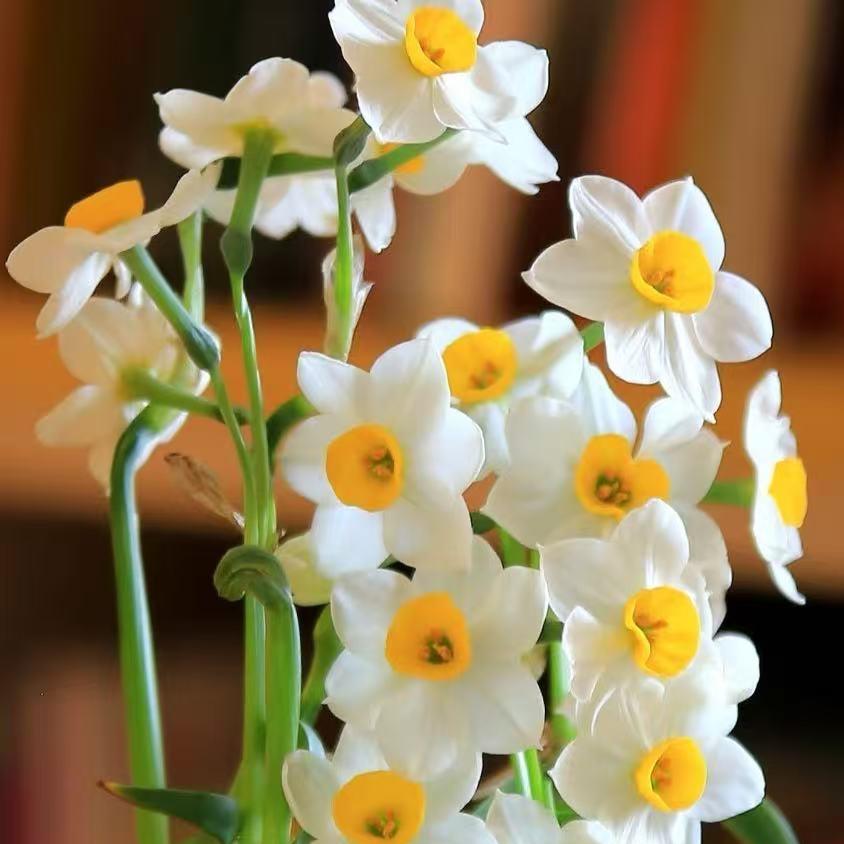 比格香漳州市比格食品有限公司专卖店