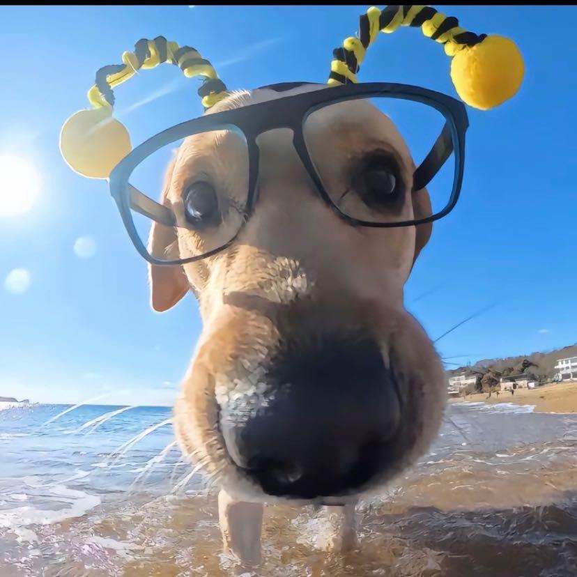 做一个正义的营销号