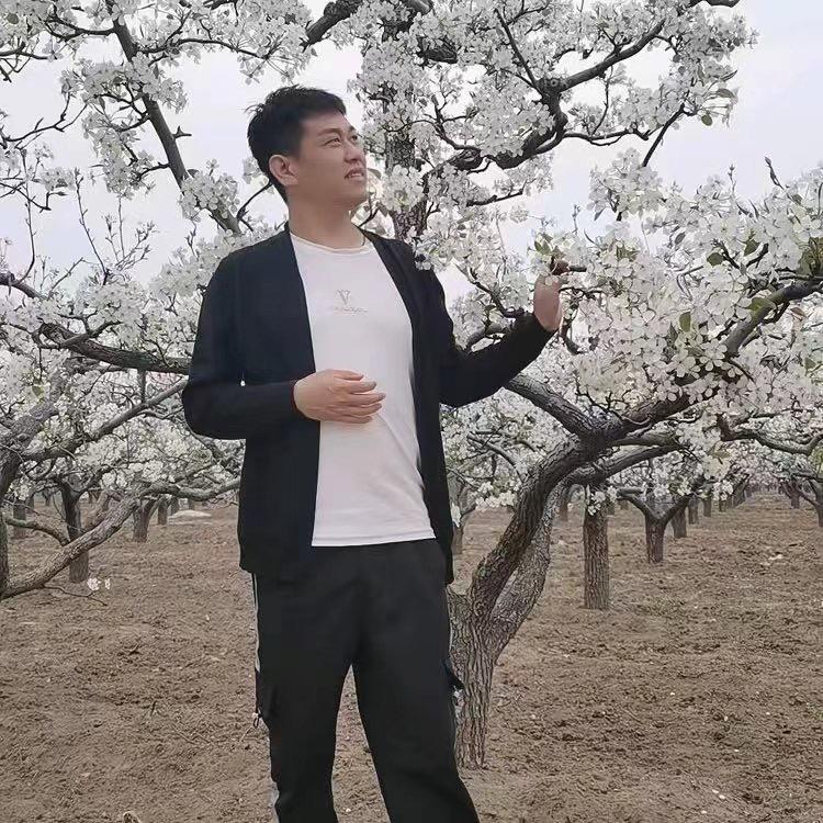 大美临城