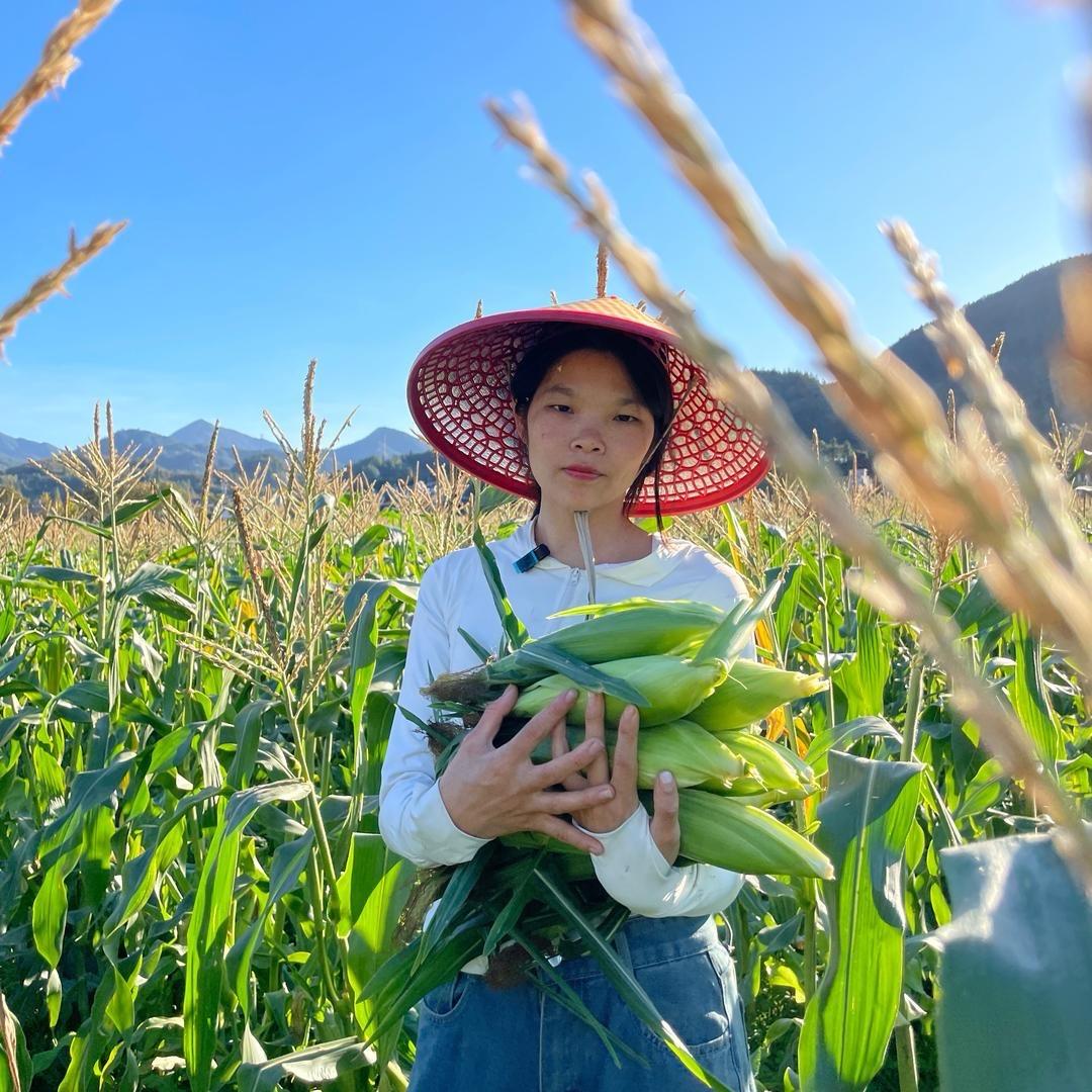 郑大钱·山货π