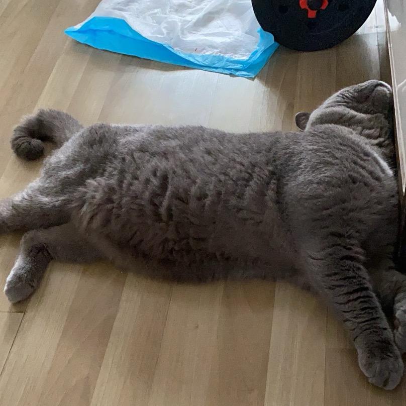 -……