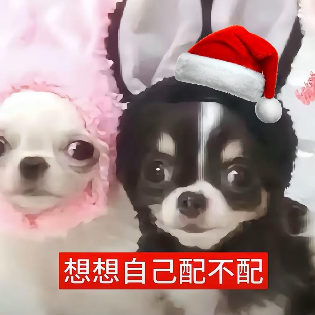 咱姨