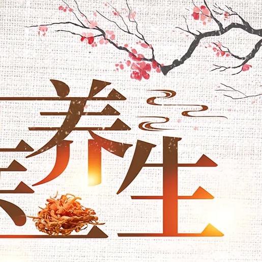 中膳食营养指南