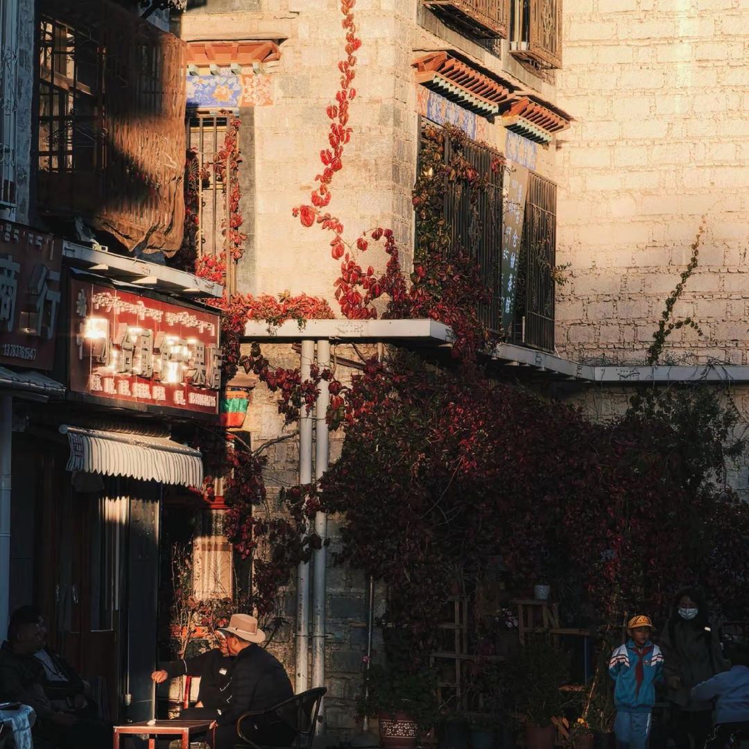 @བོད་ 风味