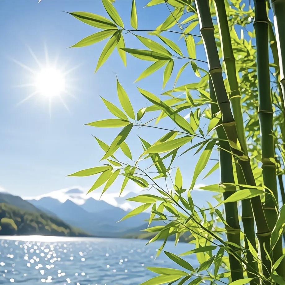 重庆驷峰科技有限公司