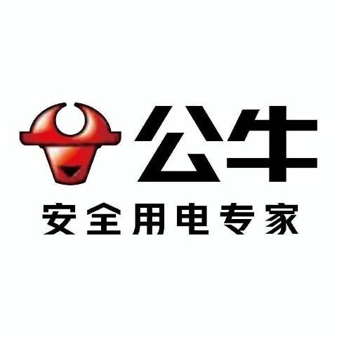 公牛旗舰店（繁昌店）