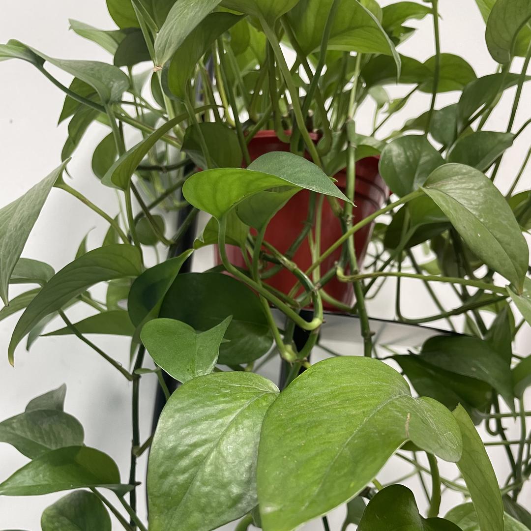 蜜蜜甜后家纺