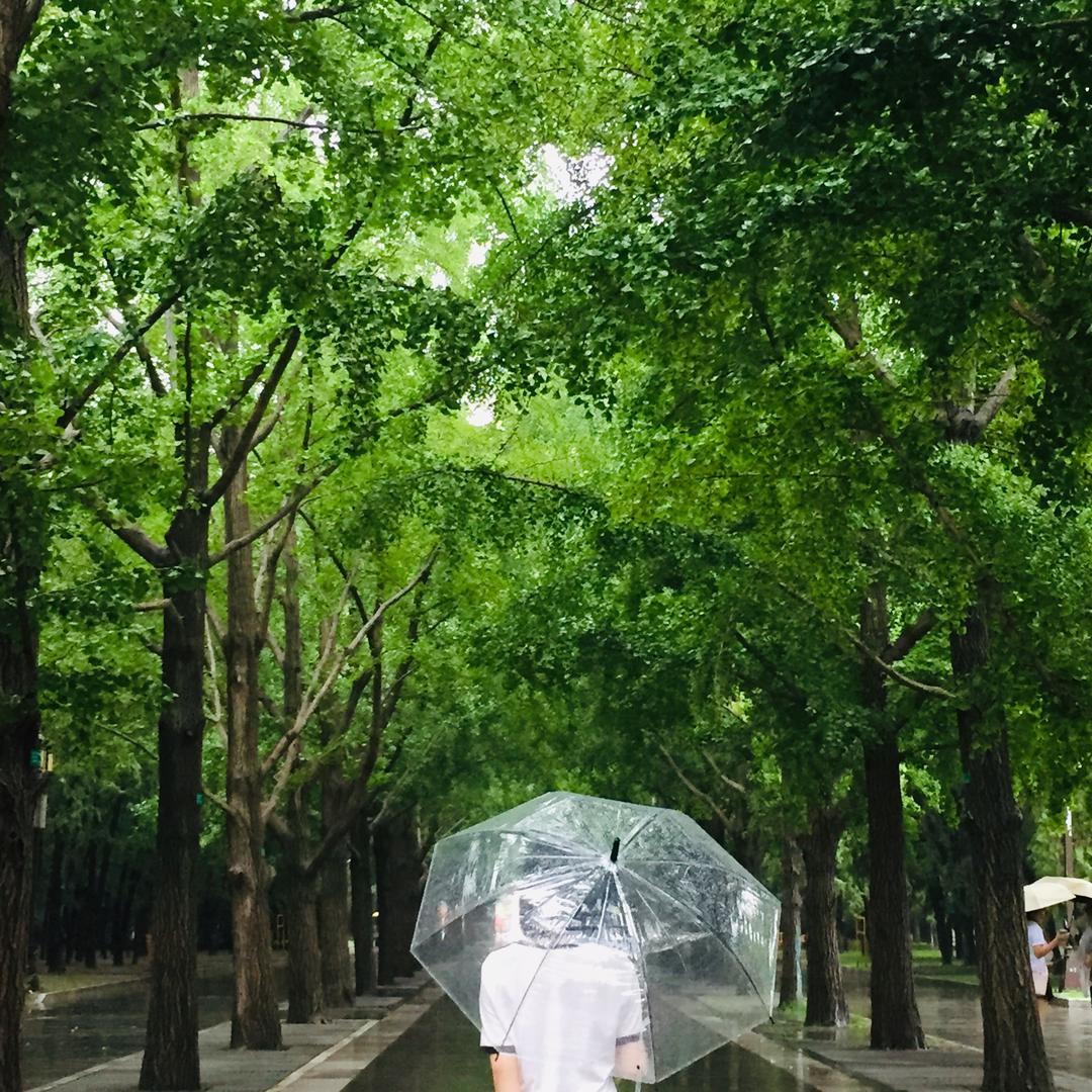 静等花开