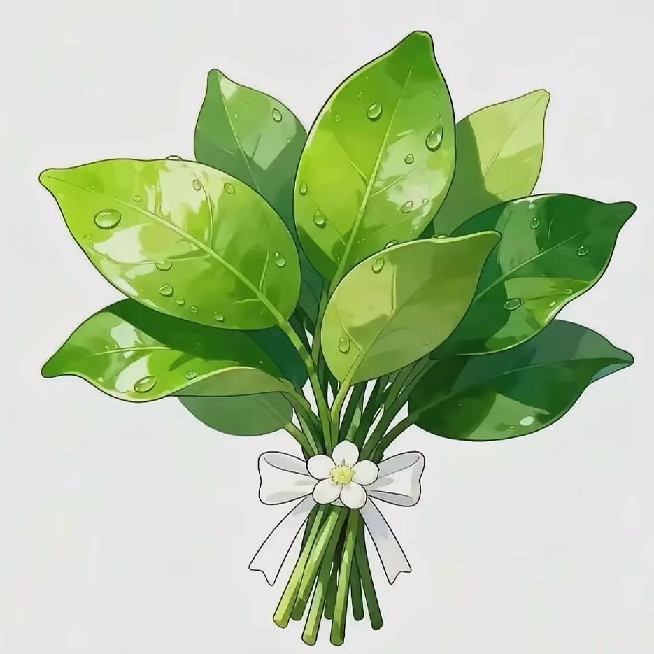醒醒三秋.