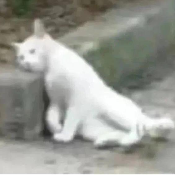.1.